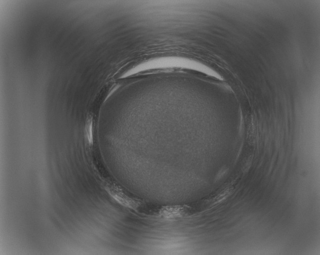 X0000054360076200508191830