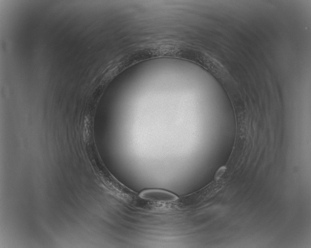 X0000054360077200508191830