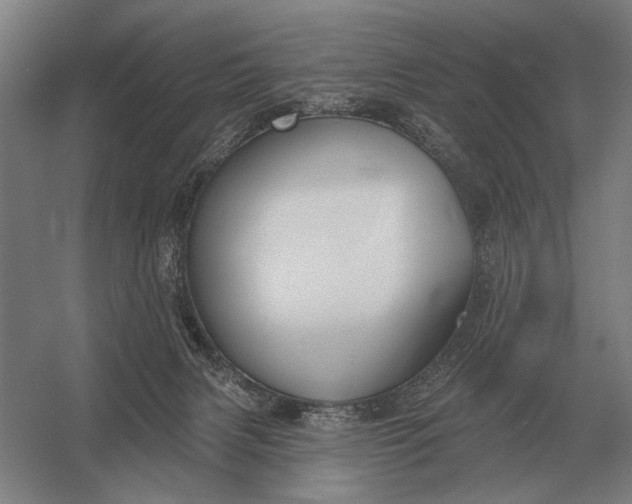 X0000054360079200508191830