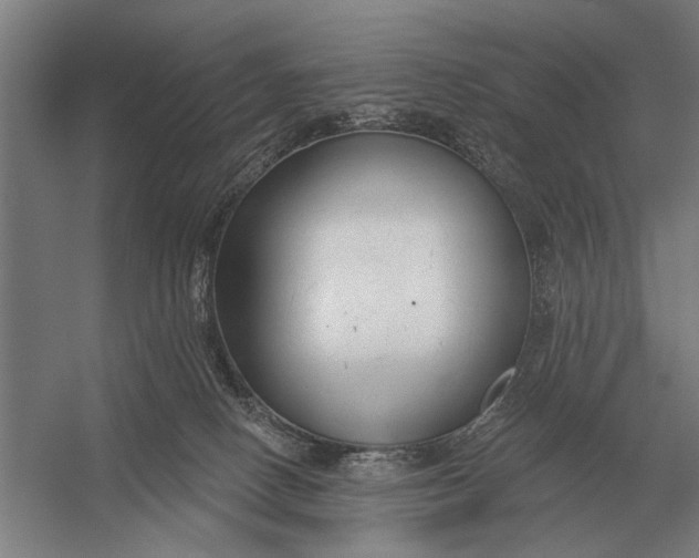 X0000054360082200508191831