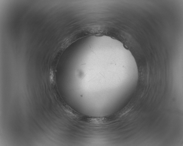 X0000054360089200508191831