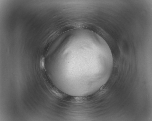 X0000054360095200508191831