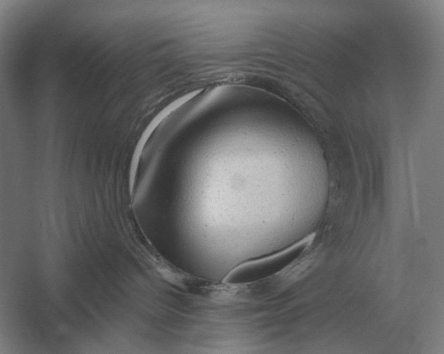 X0000054360096200508191831
