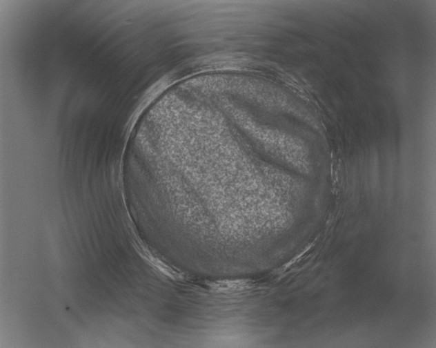 X0000054360099200508191830