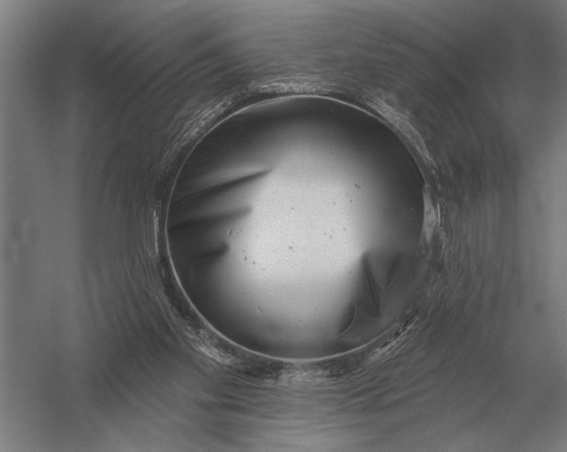 X0000054360109200508191830