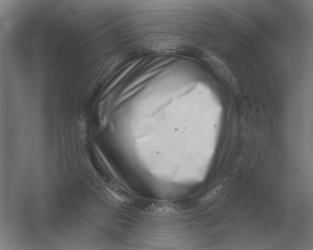 X0000054360113200508191830
