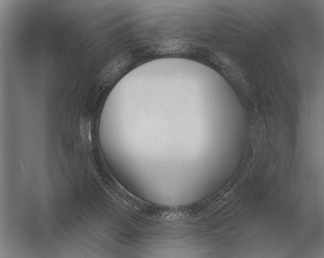 X0000054360115200508191830