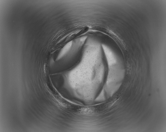 X0000054360117200508191830
