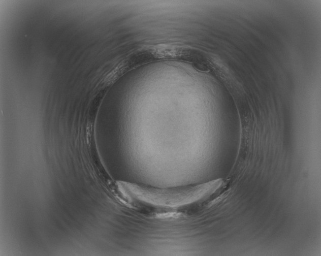 X0000054360125200508191829