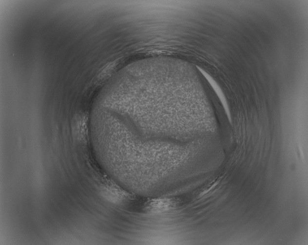 X0000054360127200508191829