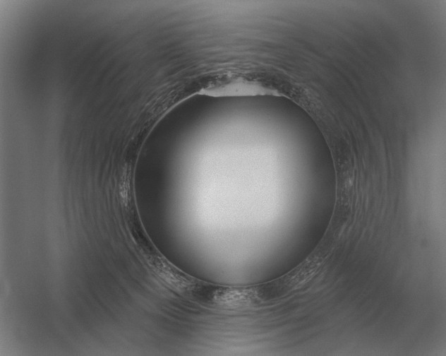 X0000054360129200508191829