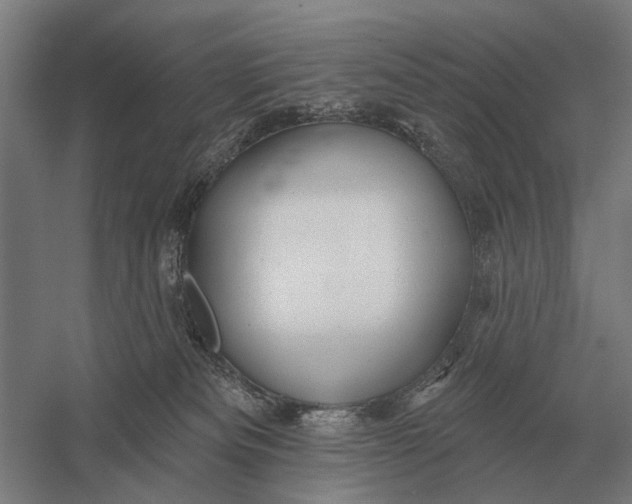 X0000054360133200508191829