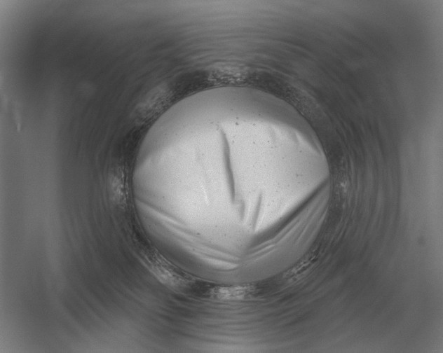 X0000054360134200508191829