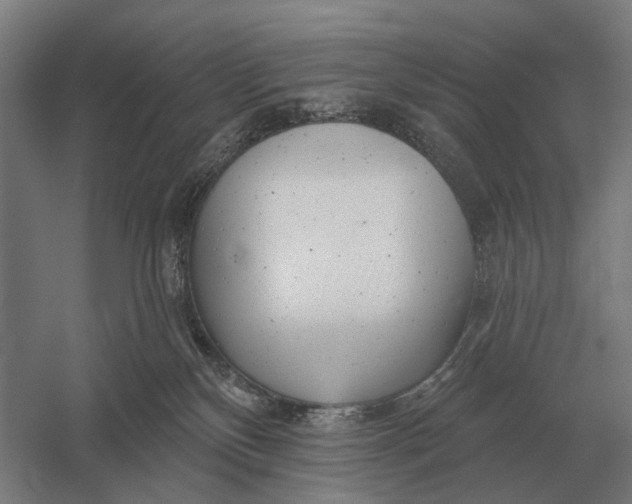 X0000054360136200508191829