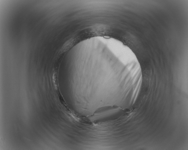 X0000054360139200508191829