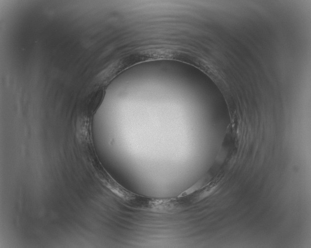 X0000054360141200508191829