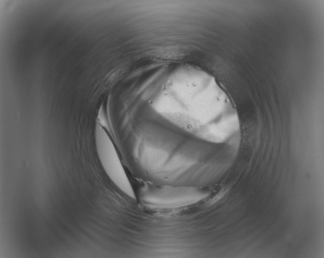 X0000054360143200508191829