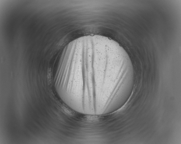 X0000054360144200508191829