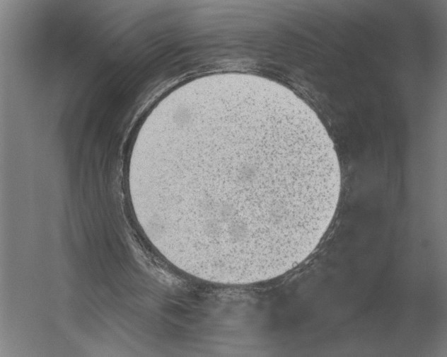X0000054360146200508191828