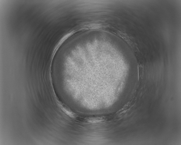 X0000054360147200508191828