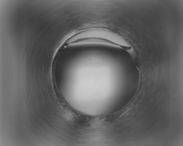X0000054360148200508191828