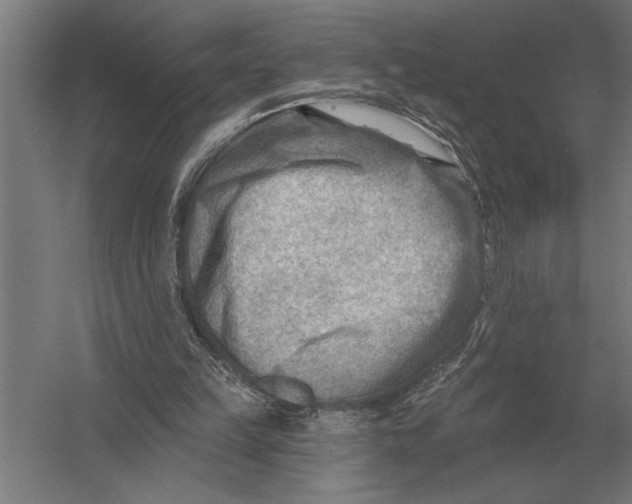 X0000054360149200508191828