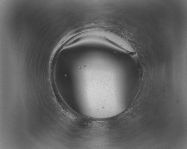 X0000054360150200508191828