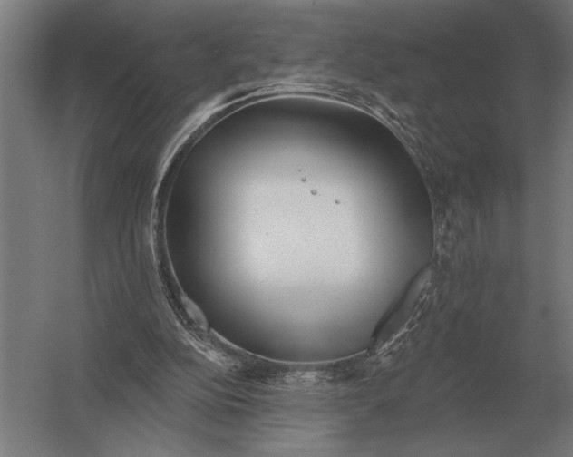X0000054360152200508191828