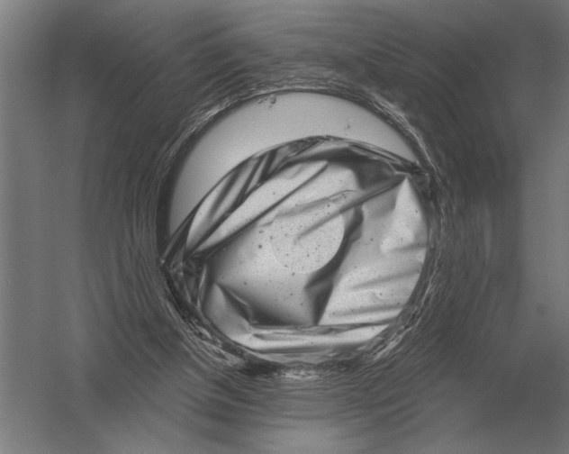 X0000054360154200508191828
