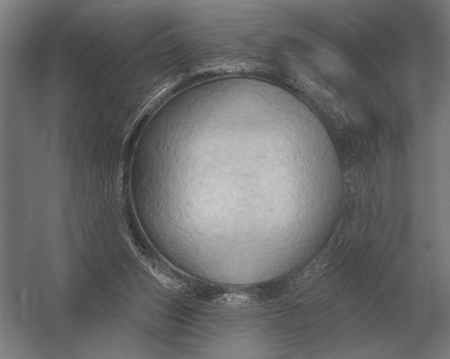 X0000054360159200508191829