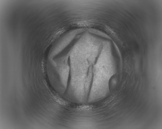 X0000054360161200508191829