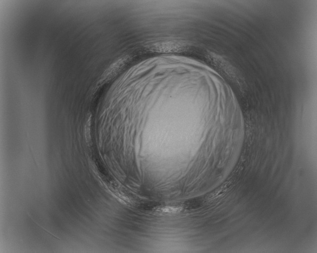 X0000054360163200508191829