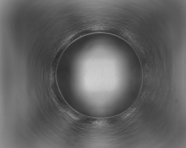 X0000054360164200508191829