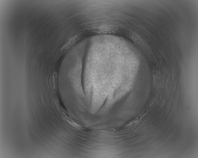 X0000054360165200508191829