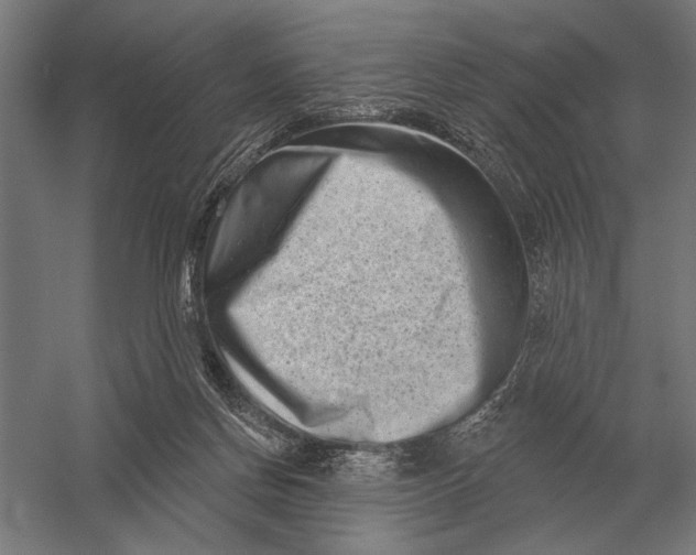 X0000054360166200508191829