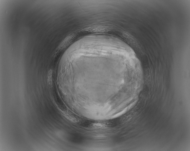 X0000054360167200508191829