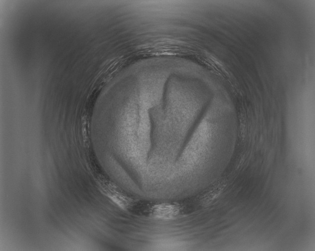 X0000054360169200508191829