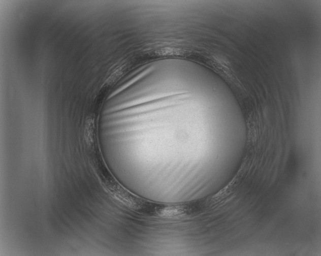 X0000054360171200508191829
