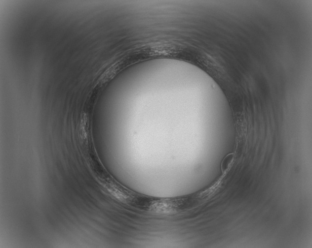 X0000054360174200508191829