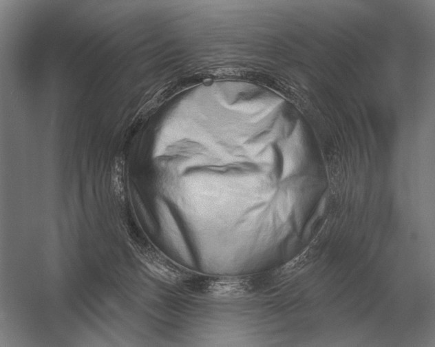 X0000054360175200508191829