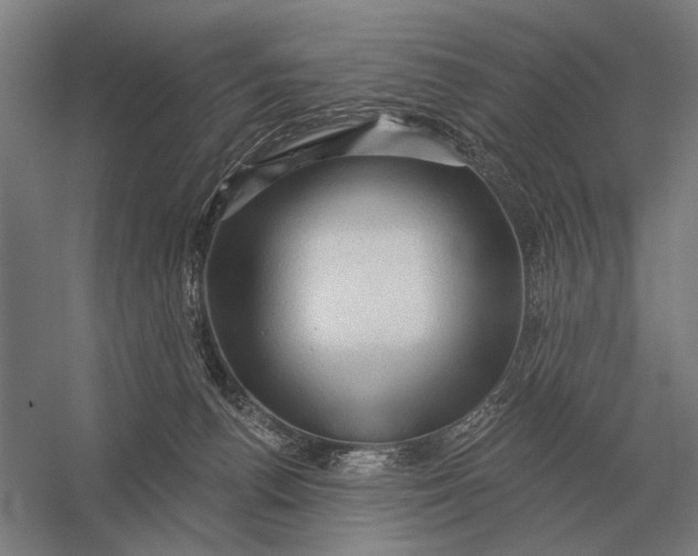 X0000054360176200508191829