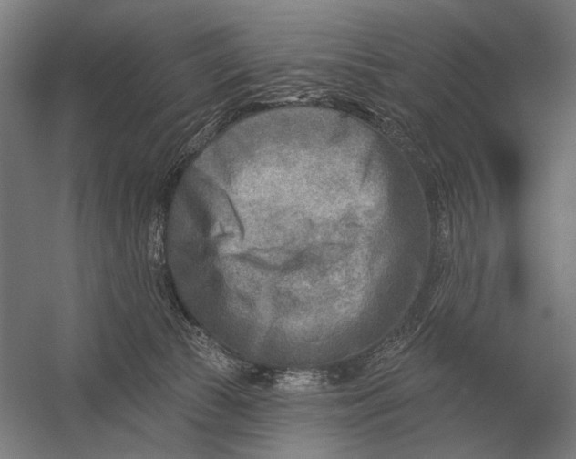 X0000054360177200508191829