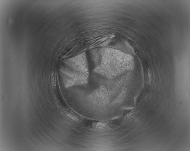 X0000054360180200508191829