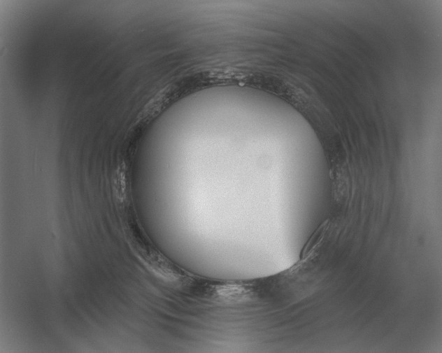 X0000054360183200508191829