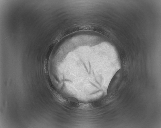 X0000054360185200508191829