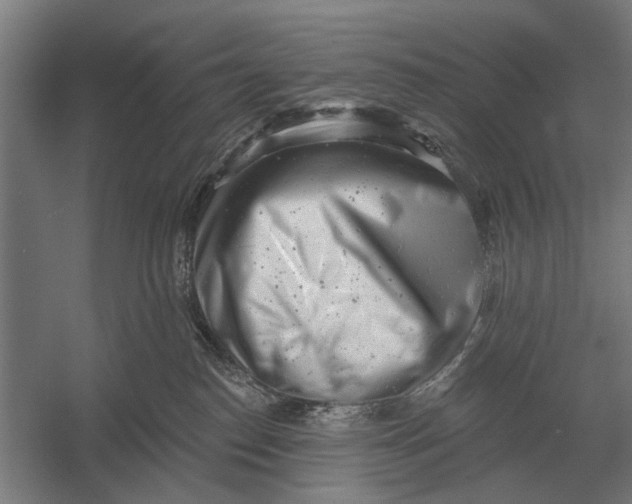 X0000054360186200508191829
