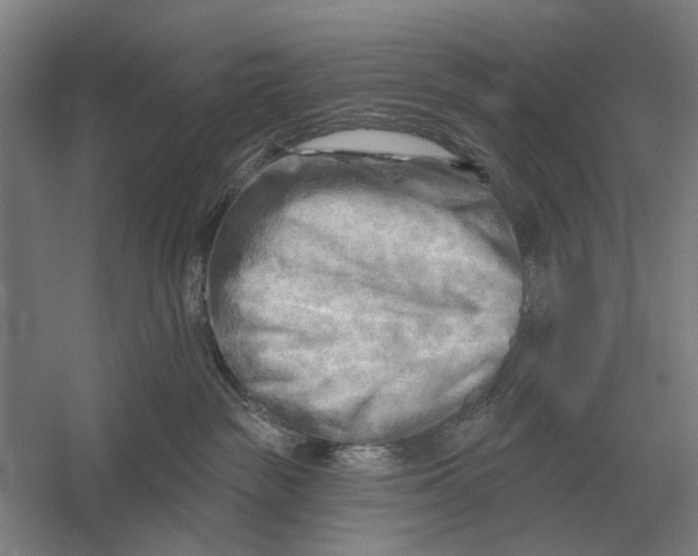 X0000054360189200508191829