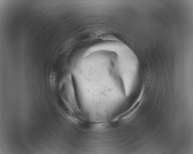 X0000054360191200508191829