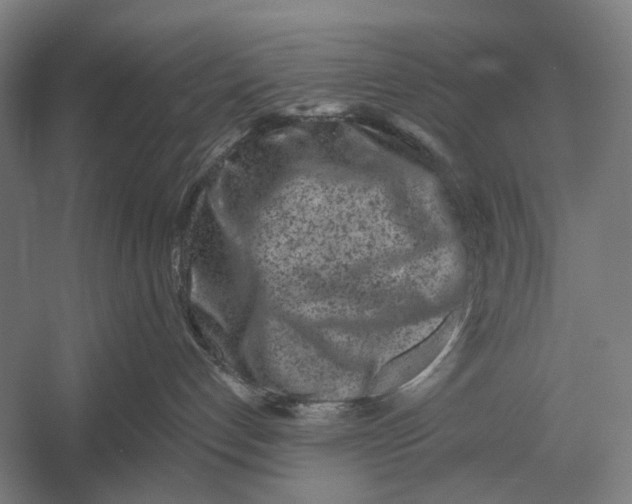 X0000054360192200508191829