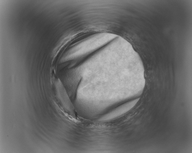 X0000054360194200508191828